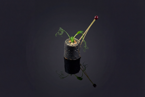 Блинные роллы «Black Roll», 32 шт - #2