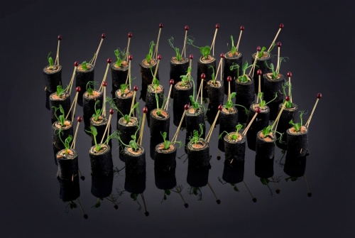 Блинные роллы "Black Roll"